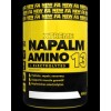 Xtreme Napalm Amino 13 + Electrolytes 450 гр | FA Nutrition