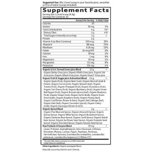 Raw Organic Perfect Food Green Superfood - Original 207 гр | Garden Of Life