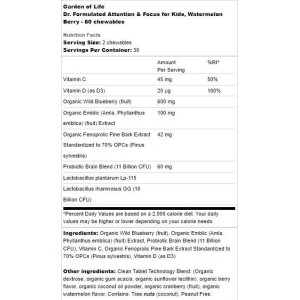 Dr. Formulated Attention & Focus for Kids 60 дъвчащи гел капсули | Garden Of Life Dr. Formulated Attention & Focus for Kids 60 дъвчащи гел капсули | Garden Of Life