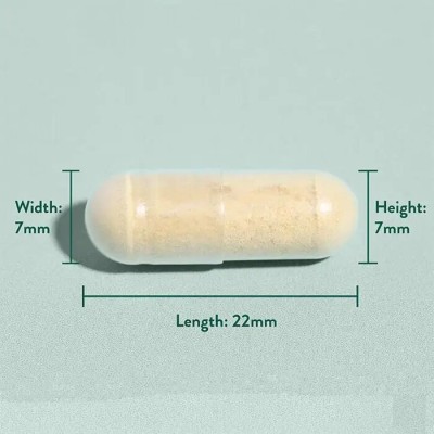 Milk Thistle 60 капсули | Holland & Barrett Milk Thistle 60 капсули | Holland & Barrett