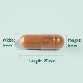 Artichoke Extract 350 мг 60 капсули | Holland & Barrett Artichoke Extract 350 мг 60 капсули | Holland & Barrett