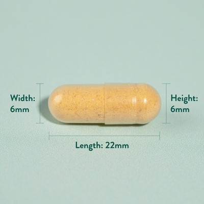 Turmeric 500 мг 240 капсули | Holland & Barrett