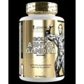 Gold Ashwagandha 300 мг 90 таблетки | Kevin Levrone Gold Ashwagandha 300 мг 90 таблетки | Kevin Levrone