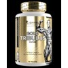 Gold Tribulus 1500 мг 90 таблетки | Kevin Levrone
