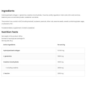 Daily Stack Muscle Mass Complex 400 гр | OstroVit
