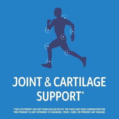 Arthri-Flex Advantage 120 таблетки за стави | 21st Century