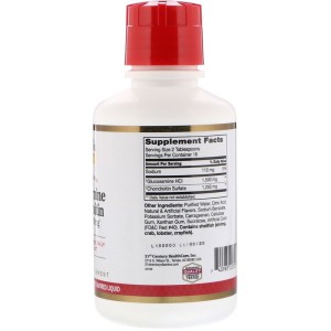 Glucosamine 1500 мг Chondroitine 1200 мг Течен 480 мл | 21st Century