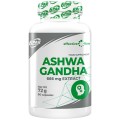 Ashwagandha 666 mg - 90 капсули | 6PAK Nutrition