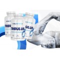 Tribulus Testosterone Booster 100 капсули | Allnutrition