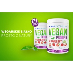 Vegan Protein - Солен карамел 500 гр | Allnutrition