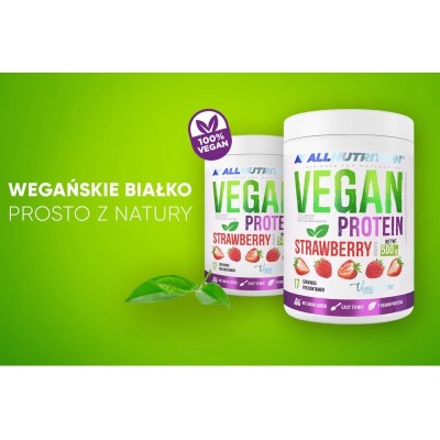 Vegan Protein 500 гр | Allnutrition