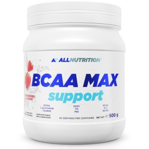 BCAA Max Support - Касис 250 гр | Allnutrition