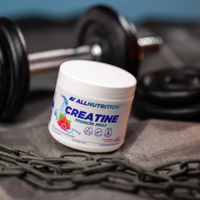 Creatine Muscle Max Flavoured 500 гр | Allnutrition