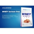 Whey Lactose Free 700 гр | Allnutrition
