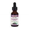 Elderberry Liquid Drops 30 мл | BareOrganics