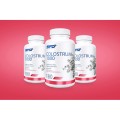 Colostrum 1000 180 таблетки | SFD Nutrition
