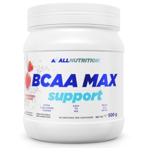BCAA Max Support - Касис 500 гр | Allnutrition