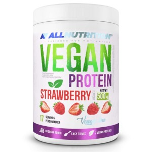 Vegan Protein - Ягода 500 гр | AllNutrition