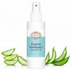 Hygiene Hand Spray with Aloe Vera 100 мл | Barbel Drexel