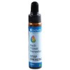 Bach Flower Remedies Stop Smoking 50 мл | Bioherba