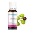 Camphora Oil 10 мл | Bioherba