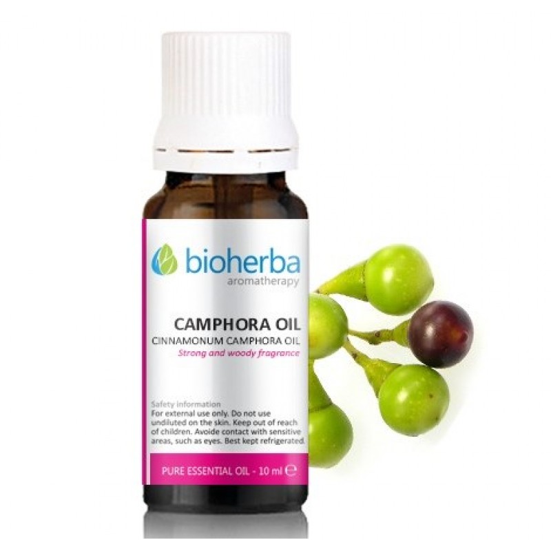 Camphora Oil 10 мл | Bioherba
