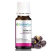 Elemi Oil 10 мл | Bioherba