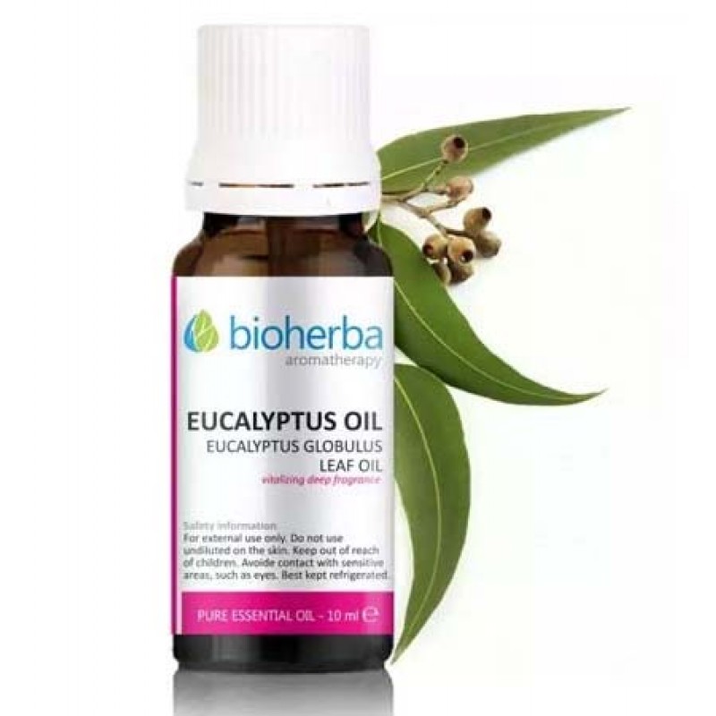 Eucalyptus Oil 10 мл | Bioherba