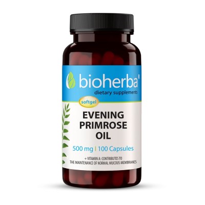Evening Primrose Oil 500 мг 100 гел-капсули | Bioherba Намалява болките по време на ПМС Предотвратява задържането на течности Облекчава симптомите на менопауза Вечерна Иглика 500 мг 100 дражета на топ цена Evening Primrose Oil 500 мг 100 гел-капсули | Bio