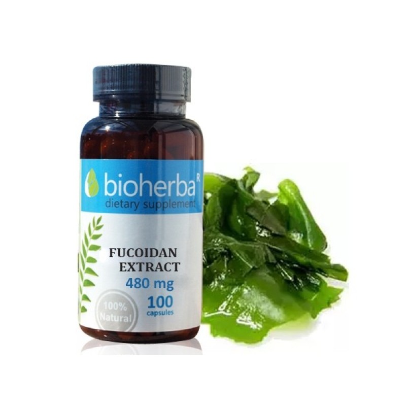 Fucoidan Extract 480 мг 100 капсули | Bioherba
