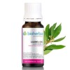 Laurel Oil 10 мл | Bioherba