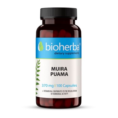 Muira Puama 370 мг 100 капсули | Bioherba Увеличава енергията Подпомага сексуалното желание Действа тонизиращо Укрепва организма Може да елиминира стреса Muira Puama 370 мг 100 капсули | Bioher Muira Puama 370 мг 100 капсули | Bioherba Увеличава енергията
