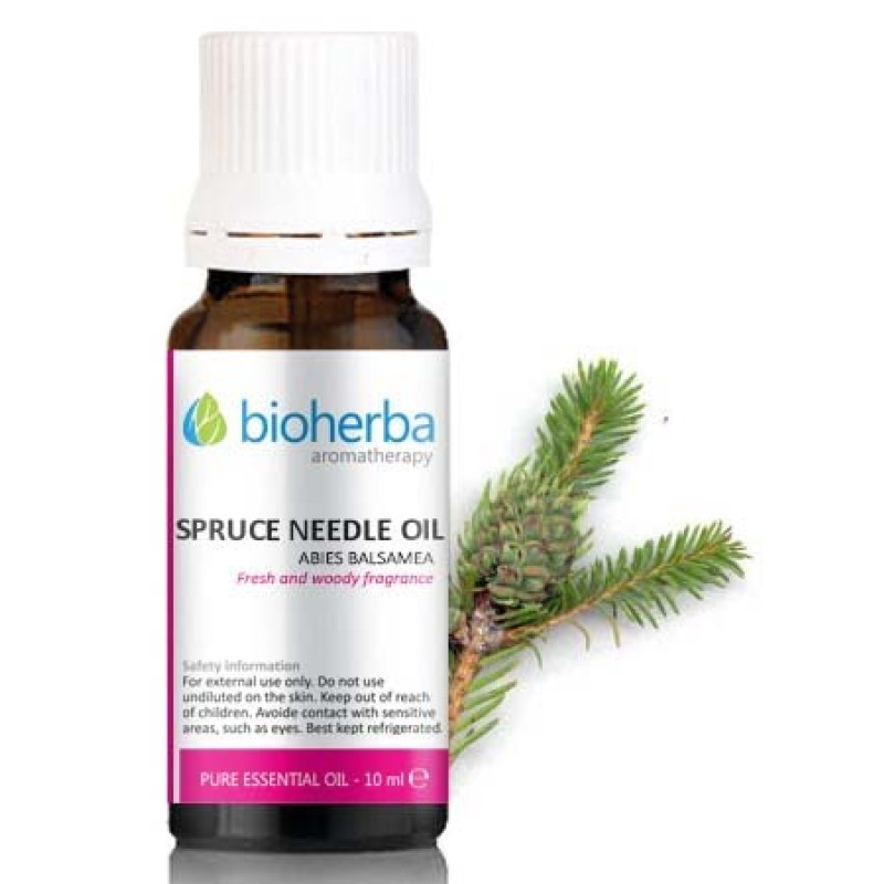 Spruce Needle Oil 10 мл | Bioherba