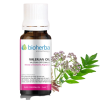 Valerian Oil 5 мл | Bioherba