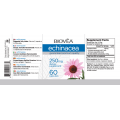 Ехинацея (Echinacea) 400 мг 60 капсули | Biovea