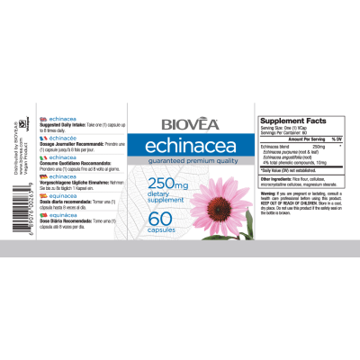 Biovea Echinacea (Ехинацея) 250 мг 60 капсули Ехинацеята представлява мощен имуностимулант. Тази северноамериканска билка се използва като лек за редица проблеми от векове и притежава доказани лечебни свойства. Измест Biovea Echinacea (Ехинацея) 250 мг 60