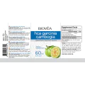 HCA Гарциния Камбоджа Течна 60 мл | Biovea HCA Гарциния Камбоджа Течна 60 мл | BioveaСпомага за изгарянето на излишните мазнини
Потиска глада
Поддържа здрави косата, кожата и ноктите
Понижава холестерола
Засилва метаболизма
Облекчава симп HCA Гарциния Камбоджа Течна 60 мл | Biovea Спомага за изгарянето на излишните мазнини Потиска глада Поддържа здрави косата, кожата и ноктите Понижава холестерола Засилва метаболизма Облекчава симптом HCA Гарциния Камбоджа Течна 60 мл | Biovea Спомага за и