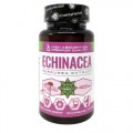 Echinacea Purpurea Extract 400 мг 30 капсули | Cvetita Herbal