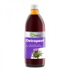 Milk Thistle Syrup 500 мл | EkaMedica