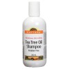 Tea Tree Oil Shampoo 250 мл | Holista Health