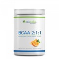 BCAA 2:1:1 Orange 400 g | HS Labs