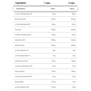 Adapto Complex | Adaptogenic Matrix with Ashwagandha, Bacopa, Rhodiola, Ginseng - 90 капсули | Human Protect