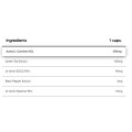 ALC + GT90 | Acetyl L-Carnitine & Green Tea Extract with 90% EGCG - 100 капсули | Human Protect