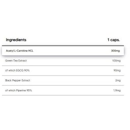 ALC + GT90 | Acetyl L-Carnitine & Green Tea Extract with 90% EGCG - 100 капсули | Human Protect