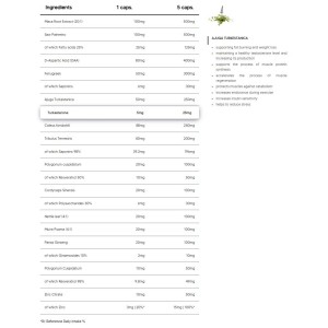 TEST | High Efficiency Testosterone Booster with Turkesterone - 30 Пакета | Human Protect
