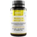 Tribulus Terrestris 204 mg | with 98% Saponins - 120 капсули | Human Protect