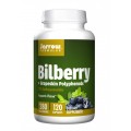 Bilberry + Grapeskin Polyphenols 280 мг 120 капсули | Jarrow Formulas