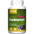 Blackcurrant Extract 200 мг 60 капсули | Jarrow Formulas