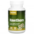 Hawthorn 500 мг 100 капсули | Jarrow Formulas