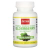 Highly Concentrated Elderberry 15:1 Extract 60 веге капсули | Jarrow Formulas